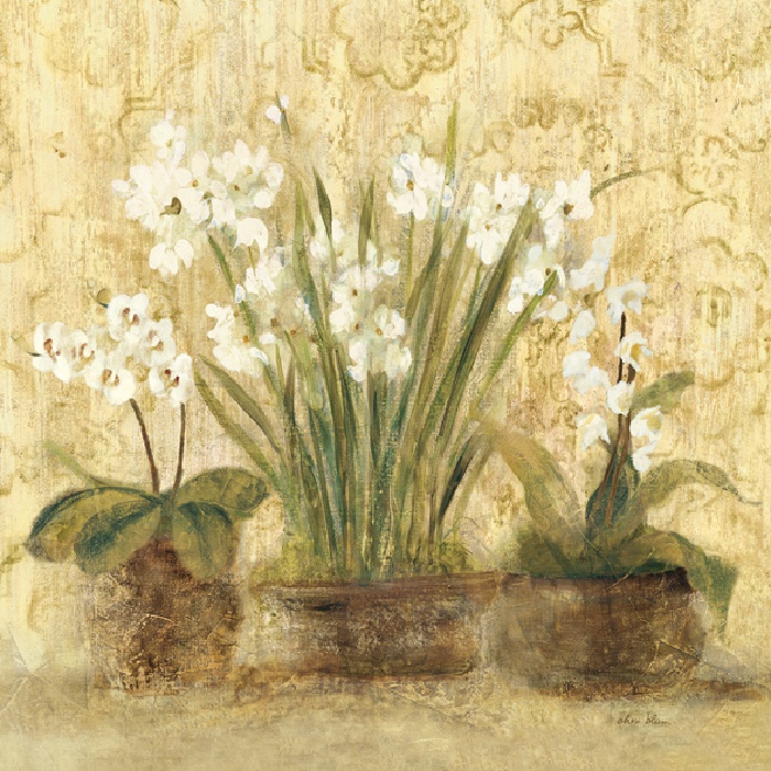 Cheri Blum Esprit Narcissus and Orchid